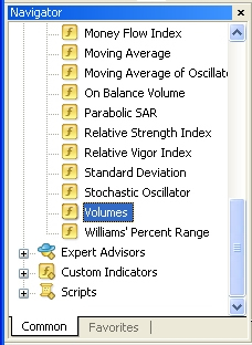 metatrader volume